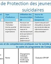Cadre logique - Protection des jeunes face aux comportements suicidaires