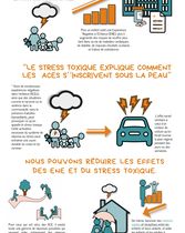 Infographie Formation sur les traumatismes Français