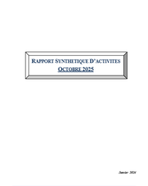 Canevas Rapport Mensuel Superviseur